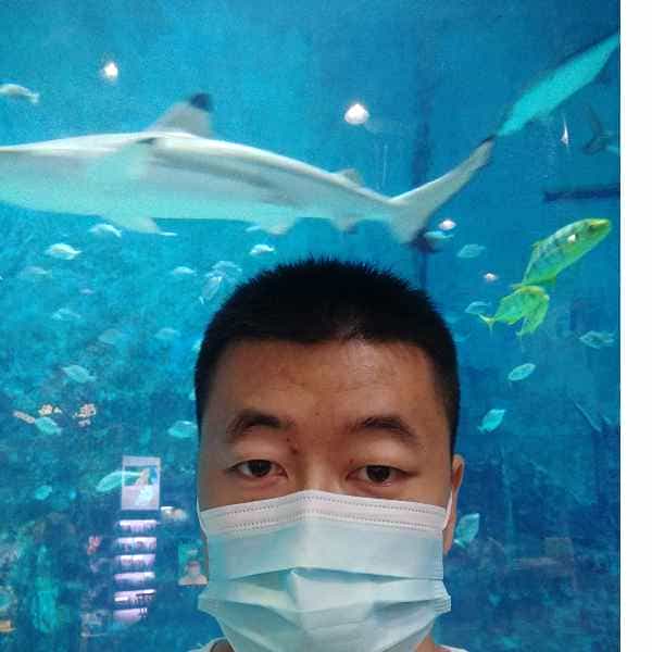 河北34岁单身帅哥真诚找对象-山东征婚相亲网