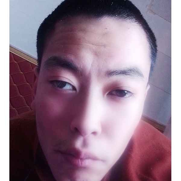 宁夏25岁单身帅哥真诚找对象-山东征婚相亲网